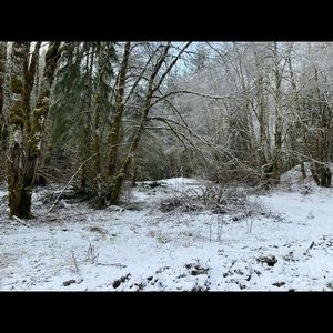 Meet your Posher, Luis